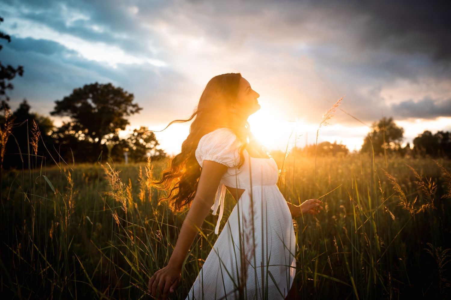 A golden sunset illuminates a grassy field with silhouettes and dramatic clouds in the background.