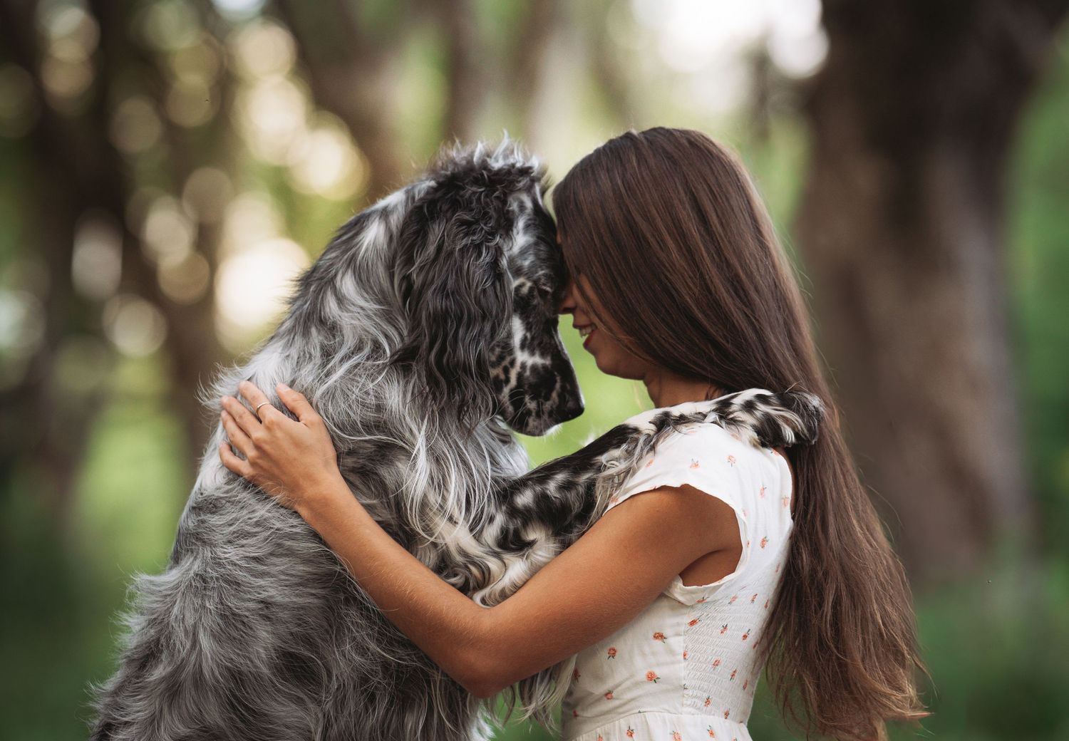 Femme longs cheveux bruns qui enlace son setter anglais, front contre front, dans une allée d'arbres lors d'une séance photo animaux.