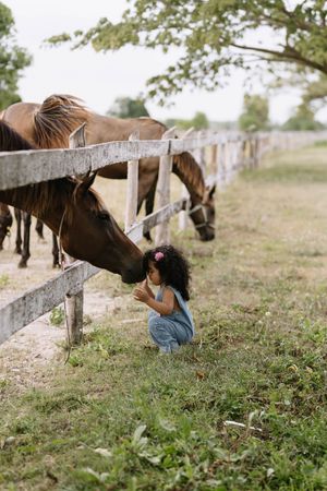 Luxury horse photoshoot in Cap Cana featuring elegant portraits in one of the Caribbean's most beautiful settings.