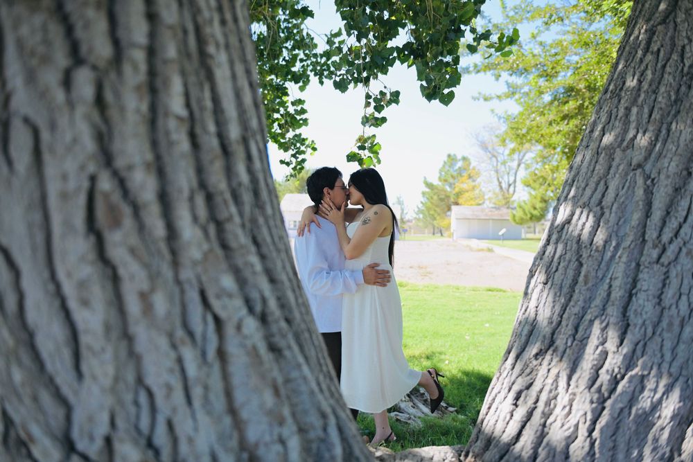 A couple embraces and kisses in a sunny park, framed between two large tree trunks, the woman in a white dress.