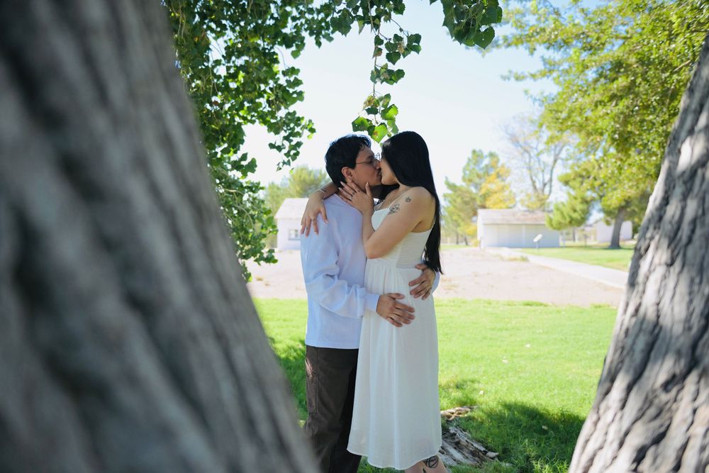 Couple in white dress and light blue shirt share a kiss between two tree trunks in a sunny park with green lawn.