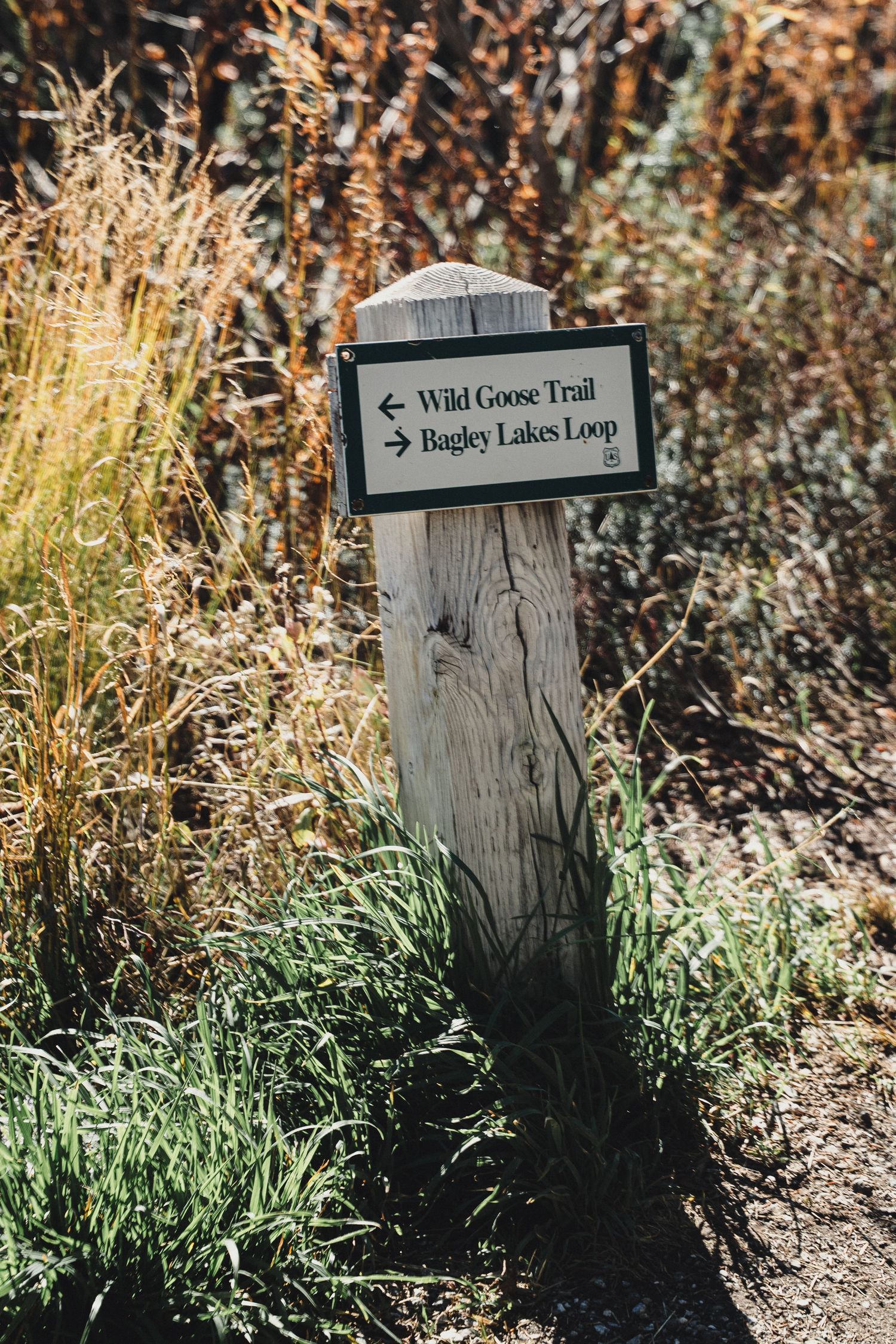 Wooden trail marker post with a sign pointing to Wild Goose Trail and Bagley Lakes Loop, surrounded by tall grasses and shrubs.