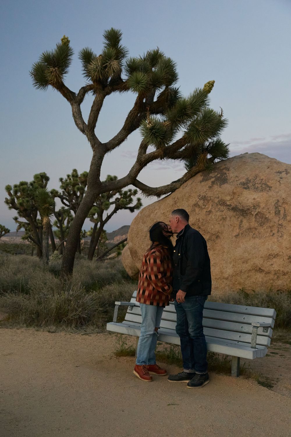 Couple kissing near a bench at Joshua Tree National Park with iconic Joshua trees and large boulders in background.