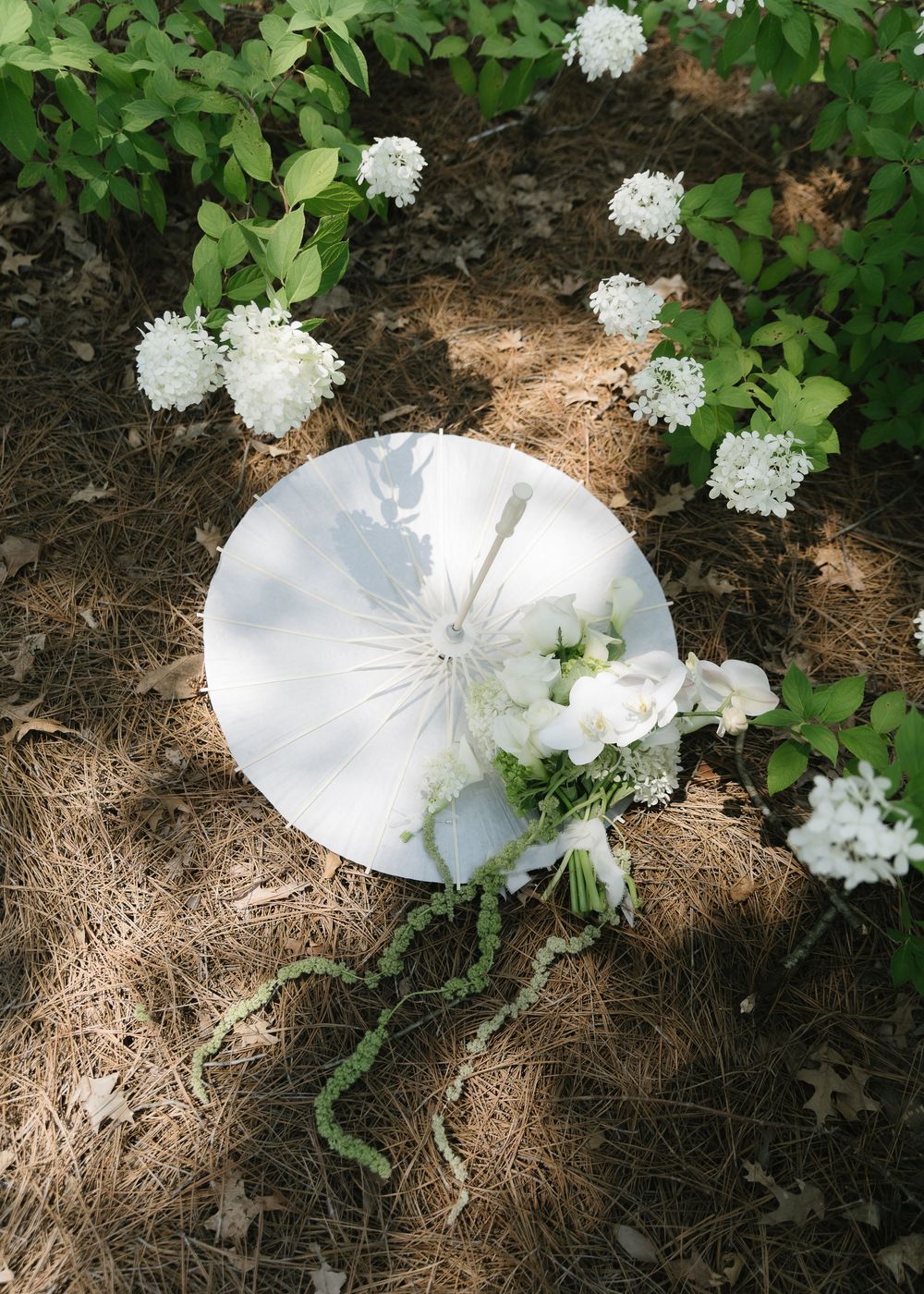 Round white mirror and floral bouquet with white flowers resting on pine needle ground surrounded by lush green shrubs.