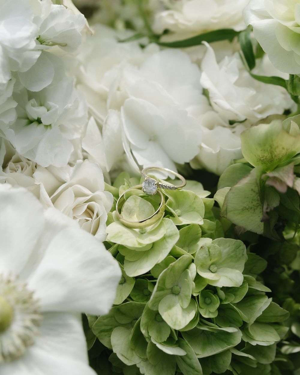 Wedding rings resting on green hydrangeas surrounded by white roses and peonies in a bridal bouquet.