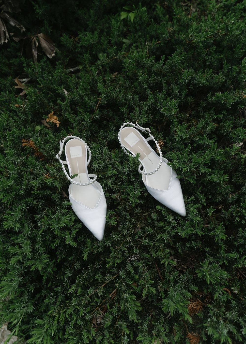 White pointed-toe bridal heels with pearl embellishments displayed on lush green foliage backdrop.
