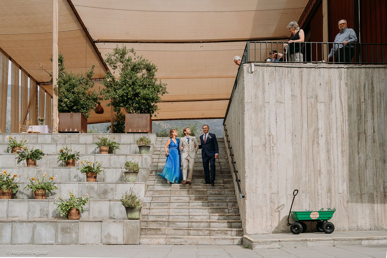 Wedding party walks up stone steps outdoors, with potted plants and a green wagon nearby.