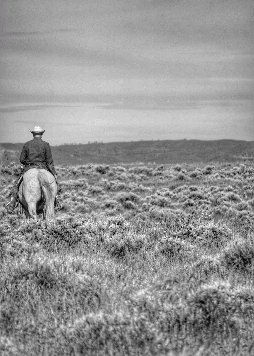 Black and white photo of a cowboy on horseback riding through vast open sagebrush plains under a cloudy sky.