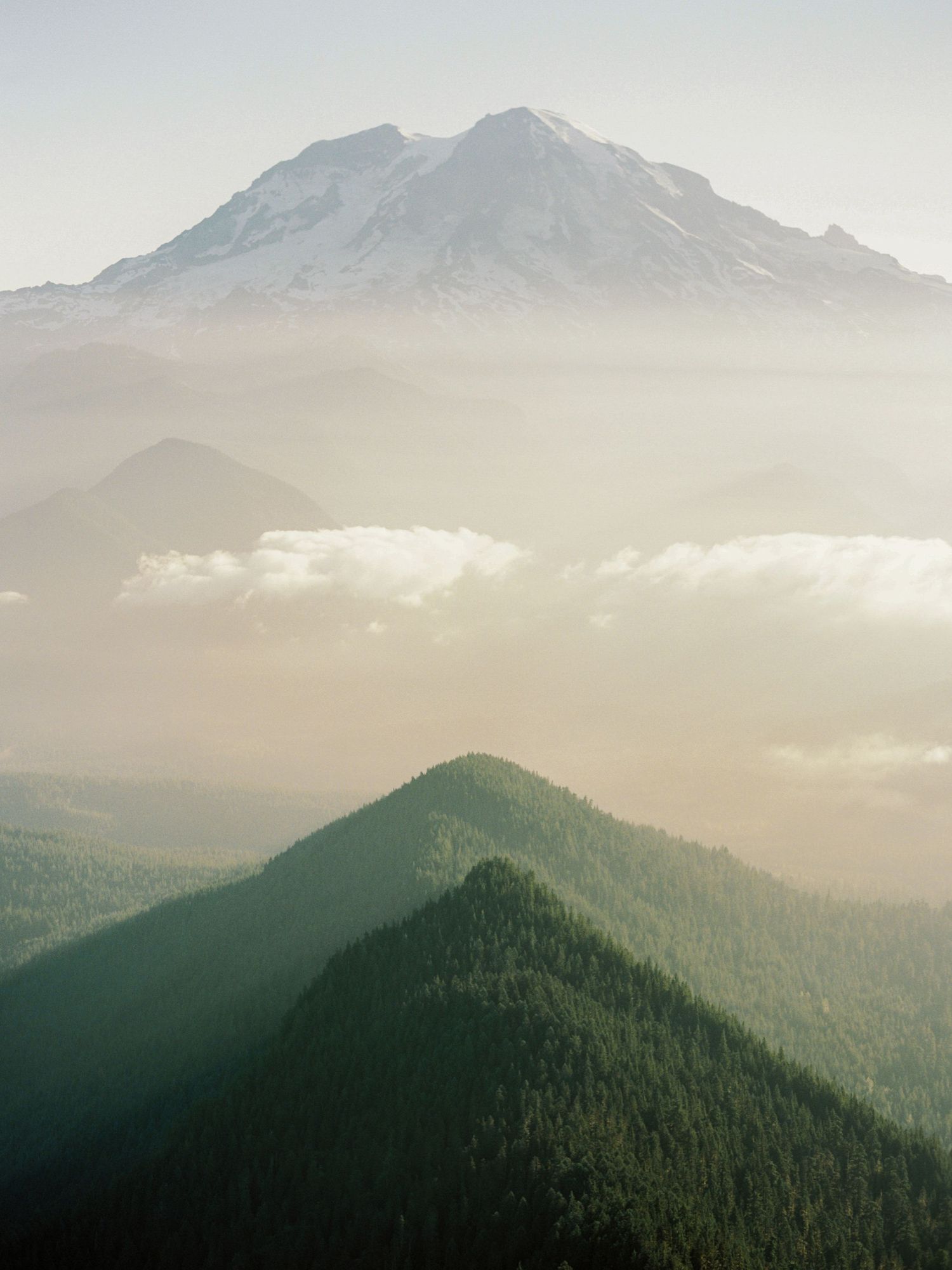 Mount rainier during sunrise