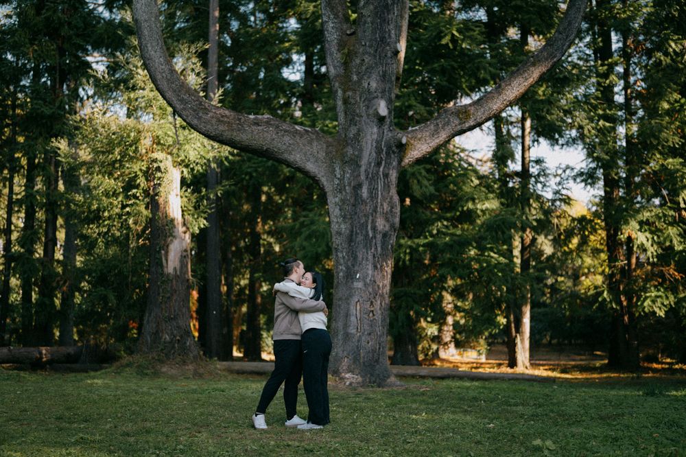 Couple embracing warmly in a lush green park beneath a large dramatic forked tree.