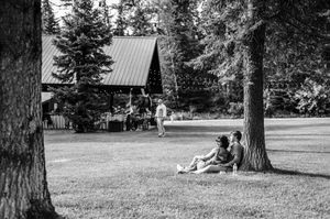 Couple sitting under a tree in a park with a rustic cabin and tall pine trees in the background.
