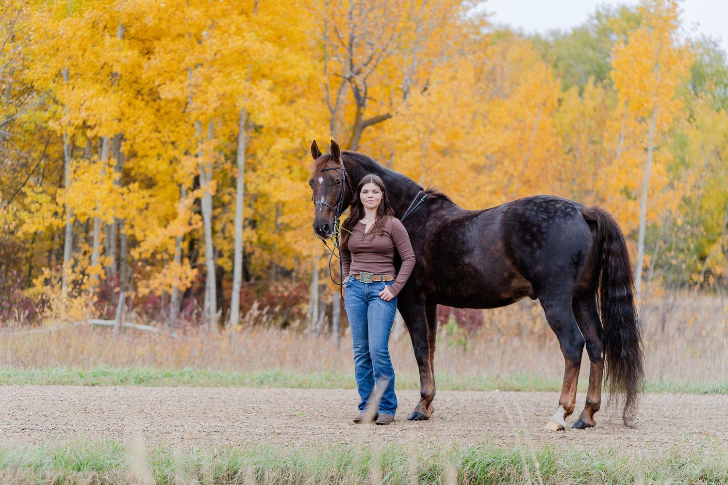 A young woman stands beside a dark bay horse in a field with vibrant yellow autumn trees in the background.