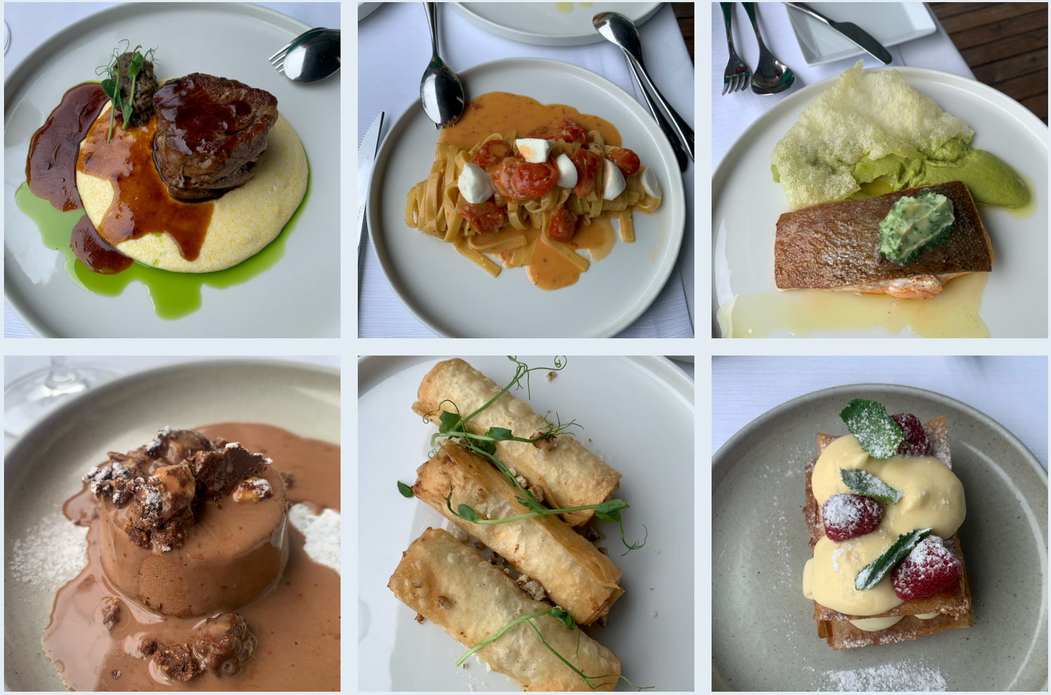 A collage of six gourmet restaurant dishes featuring elegant plating of meats, seafood, and desserts on white plates.