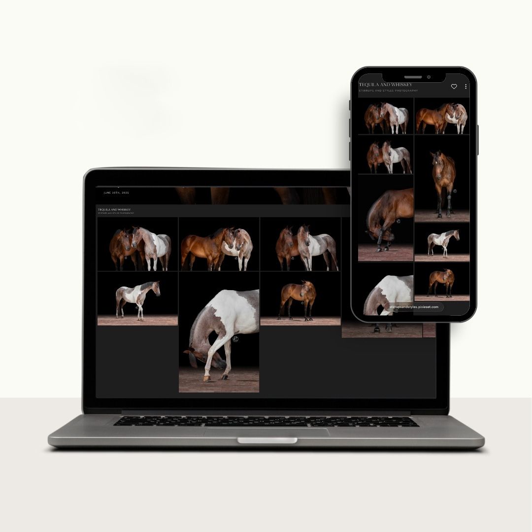 Laptop and smartphone displaying a dark-themed photo gallery of horses, including brown and white horses.
