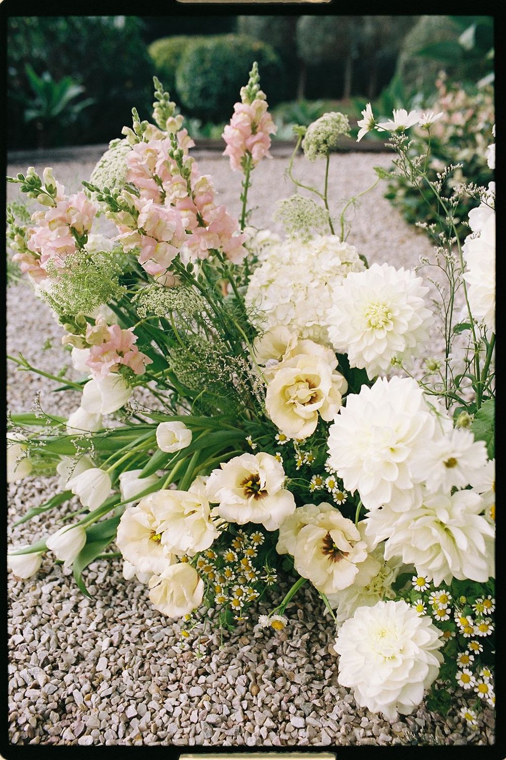 Elegant floral arrangement with white dahlias, pink snapdragons, and cream lisianthus on a gravel surface.