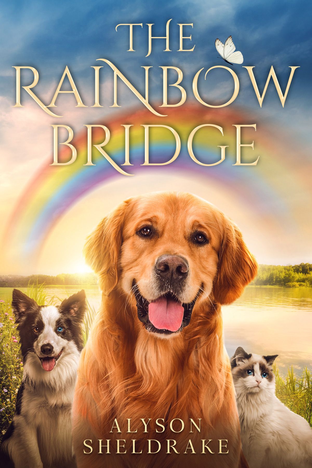 Book cover of The Rainbow Bridge by Alyson Sheldrake featuring a golden retriever, border collie, and cat under a rainbow.