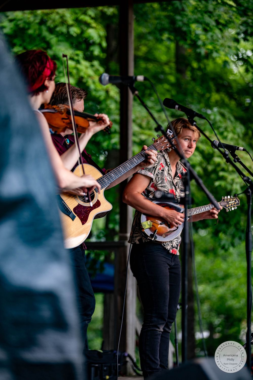 Outdoor folk music performance with guitarist in floral shirt at microphone and violinist playing on a green tree-lined stage.