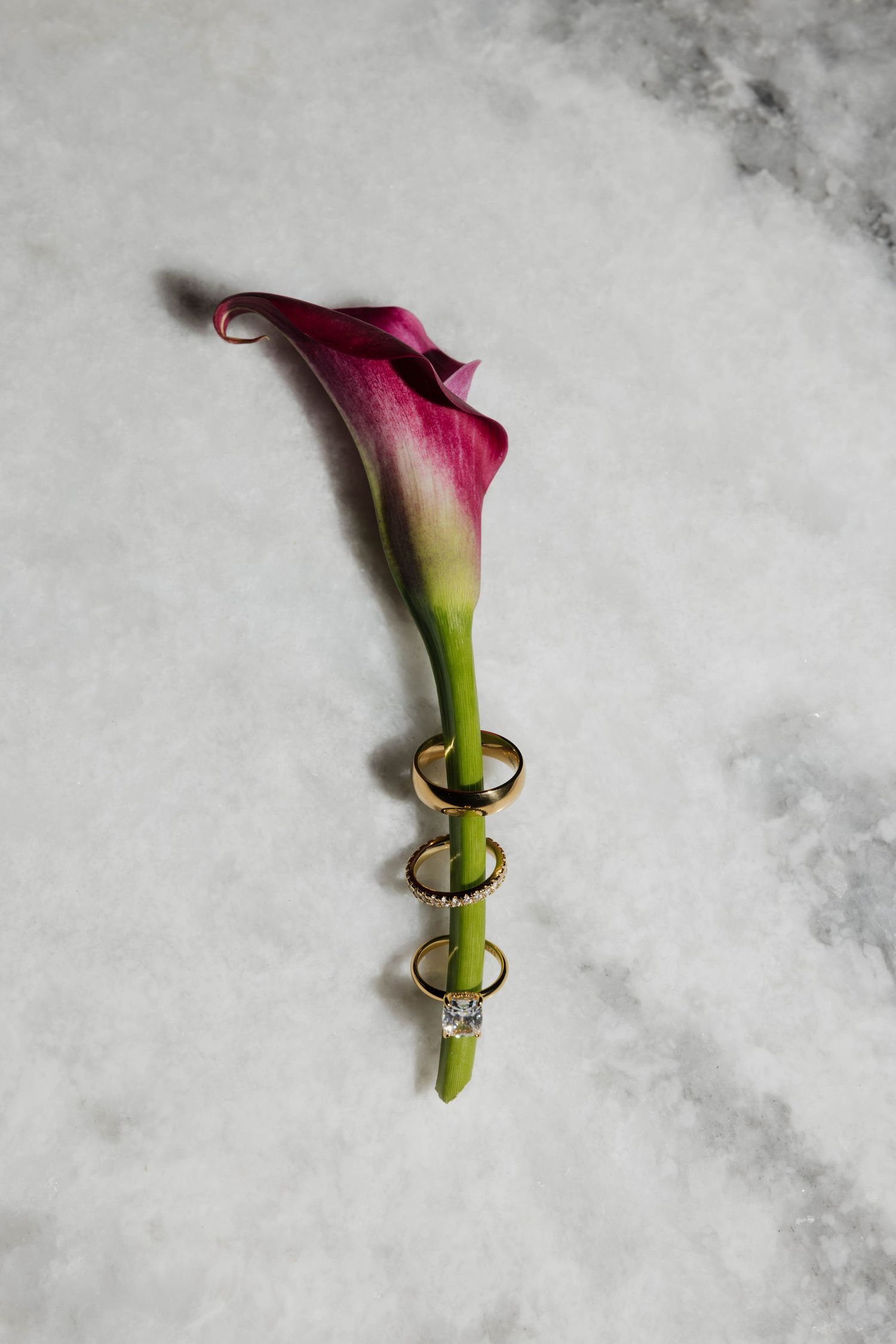 Pink calla lily stem threaded with gold wedding rings on marble surface.