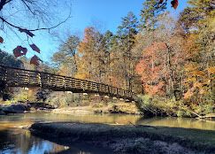 Wooden footbridge over a calm creek surrounded by colorful autumn foliage in a serene forest setting.