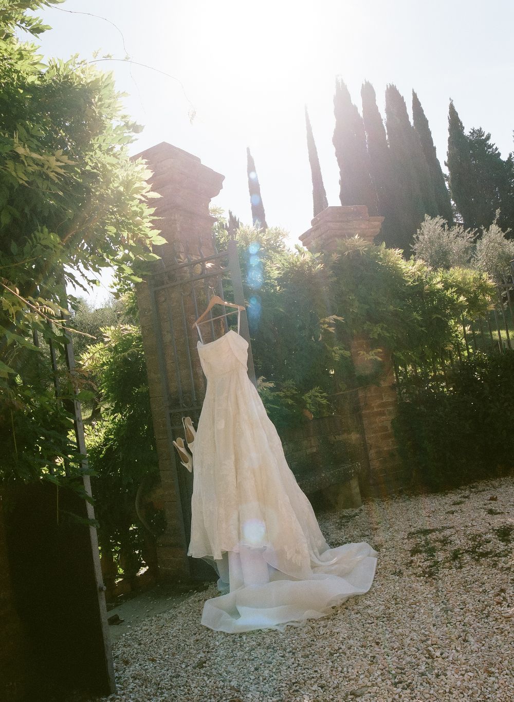Wedding dress hanging outdoors in sunlight surrounded by cypress trees and greenery.