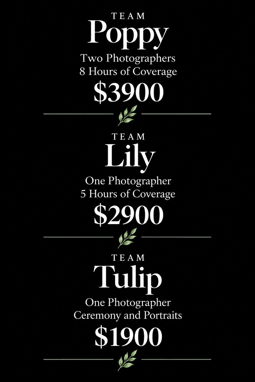 Wedding photography pricing packages showing Team Poppy at $3900, Team Lily at $2900, and Team Tulip at $1900.