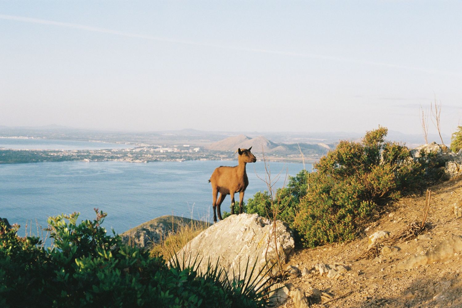 Elopement in Mallorca