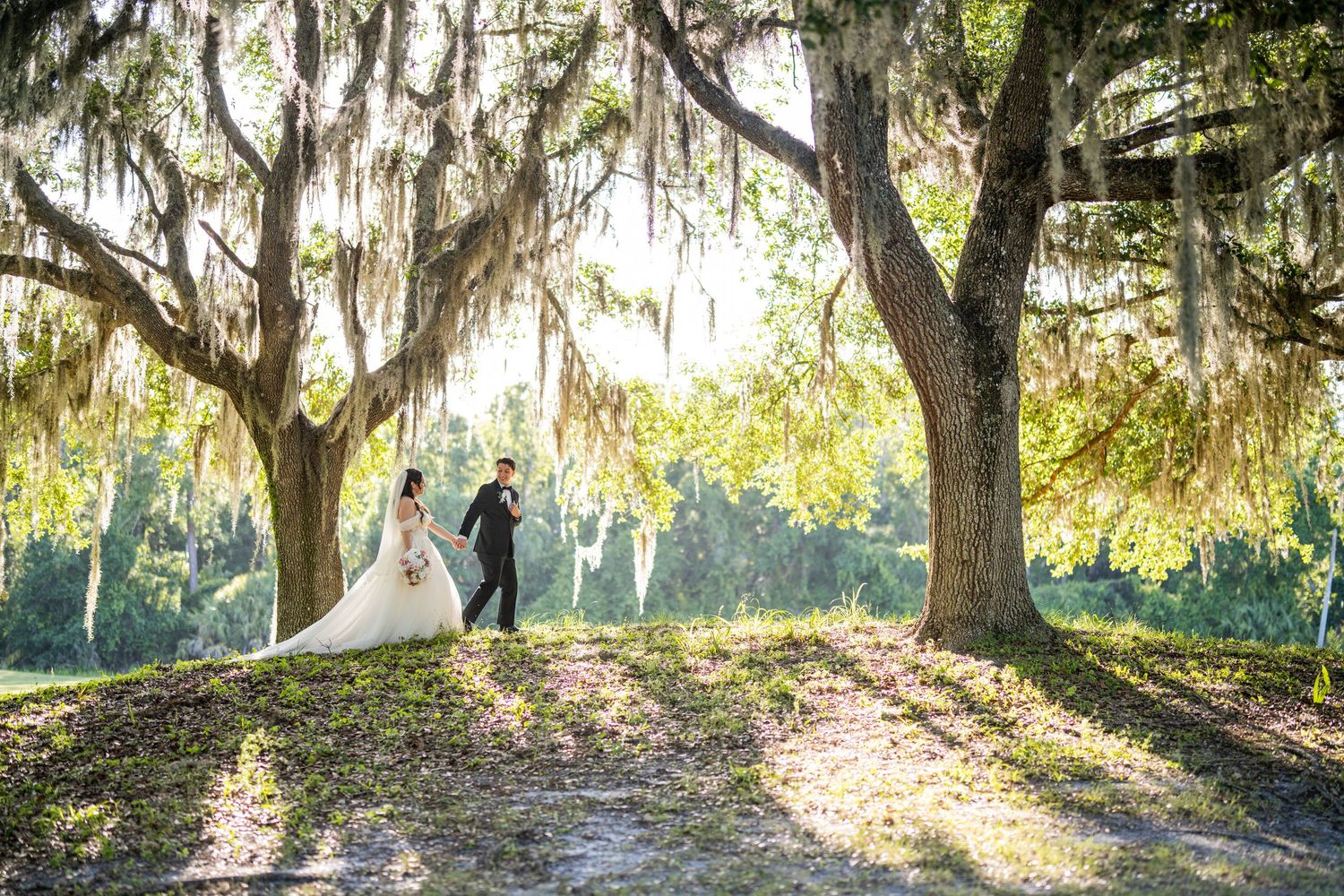 pareja de novios retrato bajo arboles de musgo espanol Orlando Florida Weddings by Ray