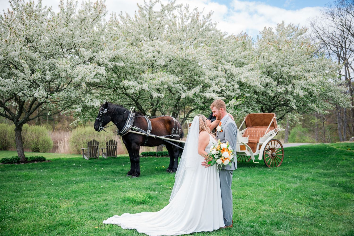 Bride and groom share a kiss outdoors with a horse-drawn carriage and blooming white trees in background at Wood Acres Farm Terryville, CT