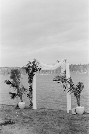 Elegant outdoor wedding arch with white draping and tropical palms by a serene waterfront in black and white.