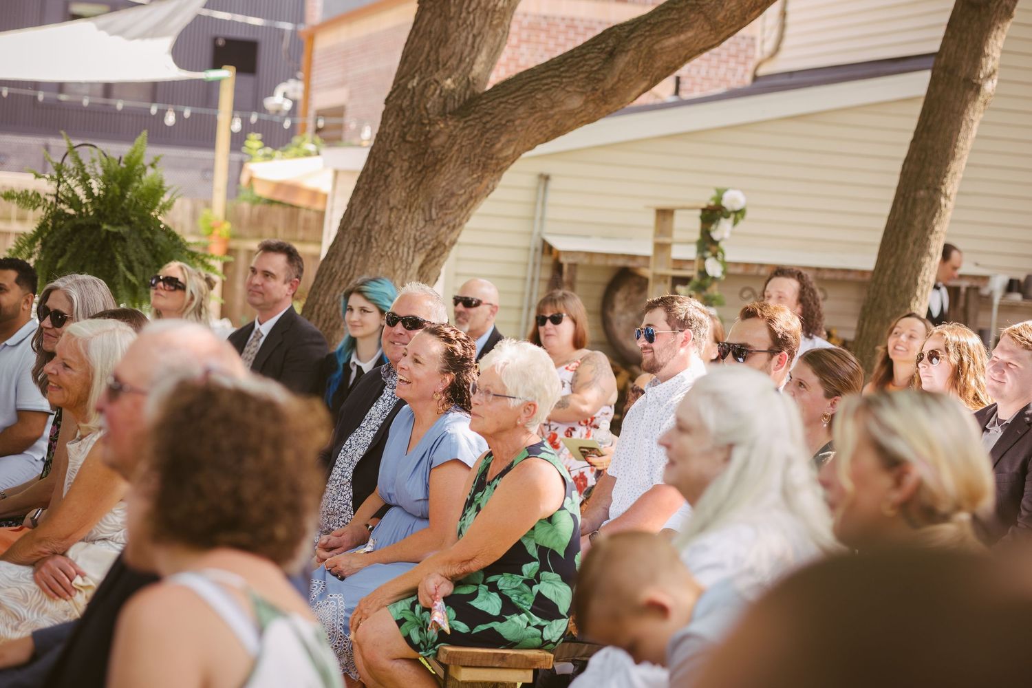 Guests seated outdoors at a sunny wedding ceremony, gathered under trees with string lights overhead.