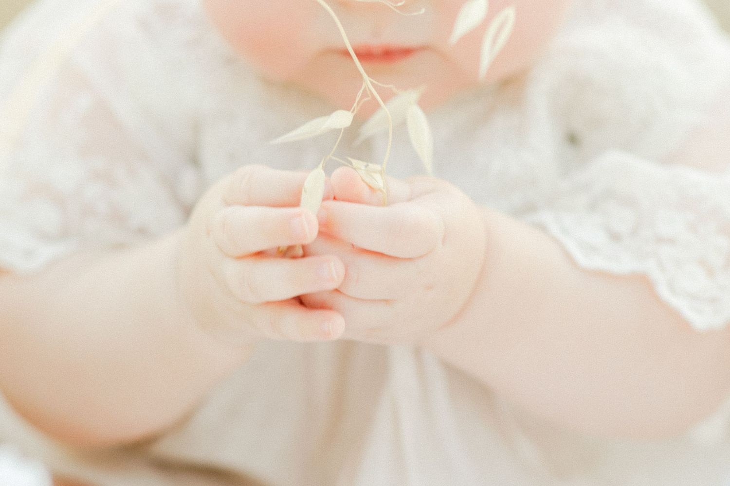 Close-up of a baby's tiny hands gently holding a delicate white flower stem, wearing a white lace dress.