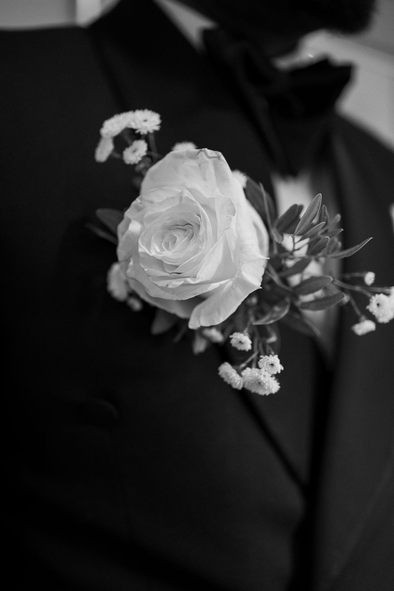 Black and white photo of a white rose boutonniere with baby's breath on a groom's dark suit lapel.