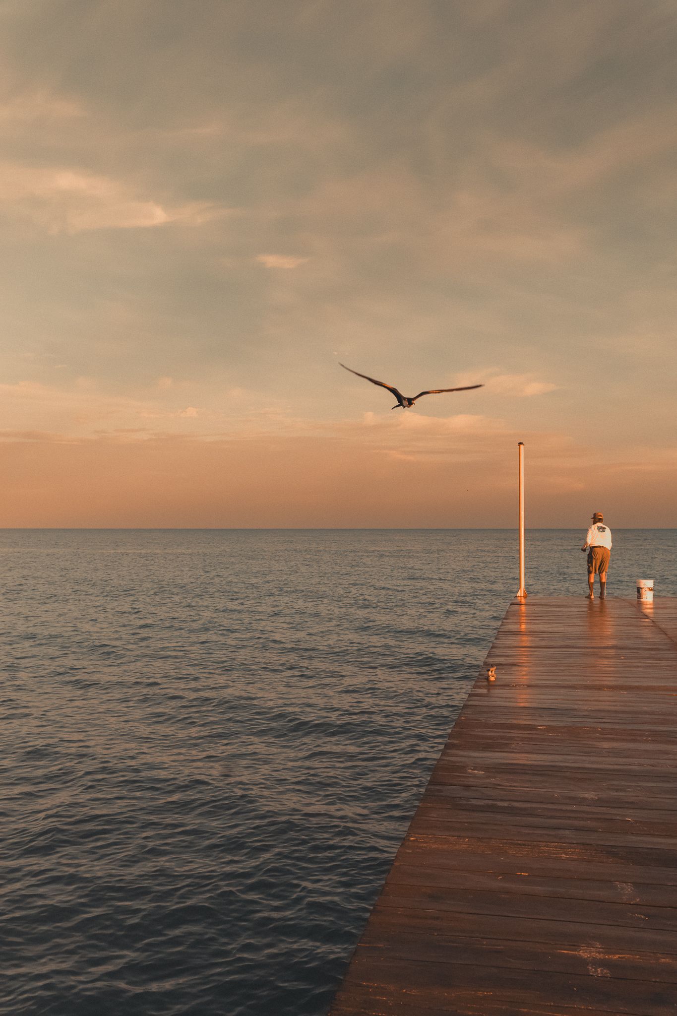 Person walking on wooden pier at sunset with seagull in flight over calm ocean waters.