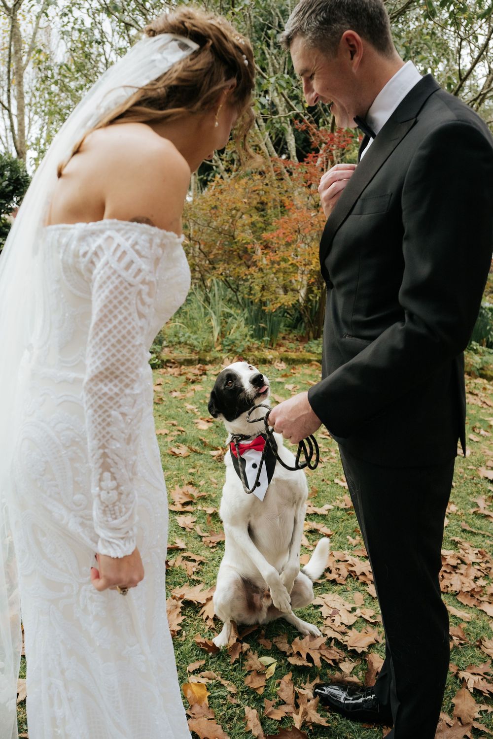 Bride and groom in wedding attire smile at their dog dressed in a tuxedo bandana on autumn leaves.