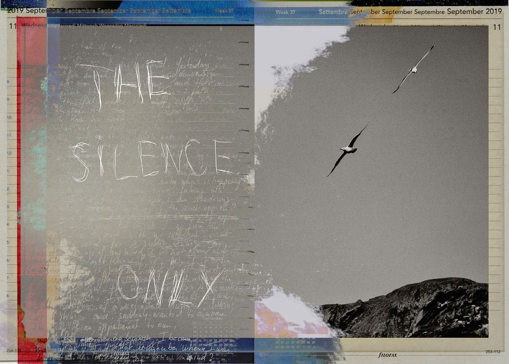 Mixed media collage featuring text 'The Silence Only' overlaid on vintage calendar page with seagulls flying over rocky coastline.