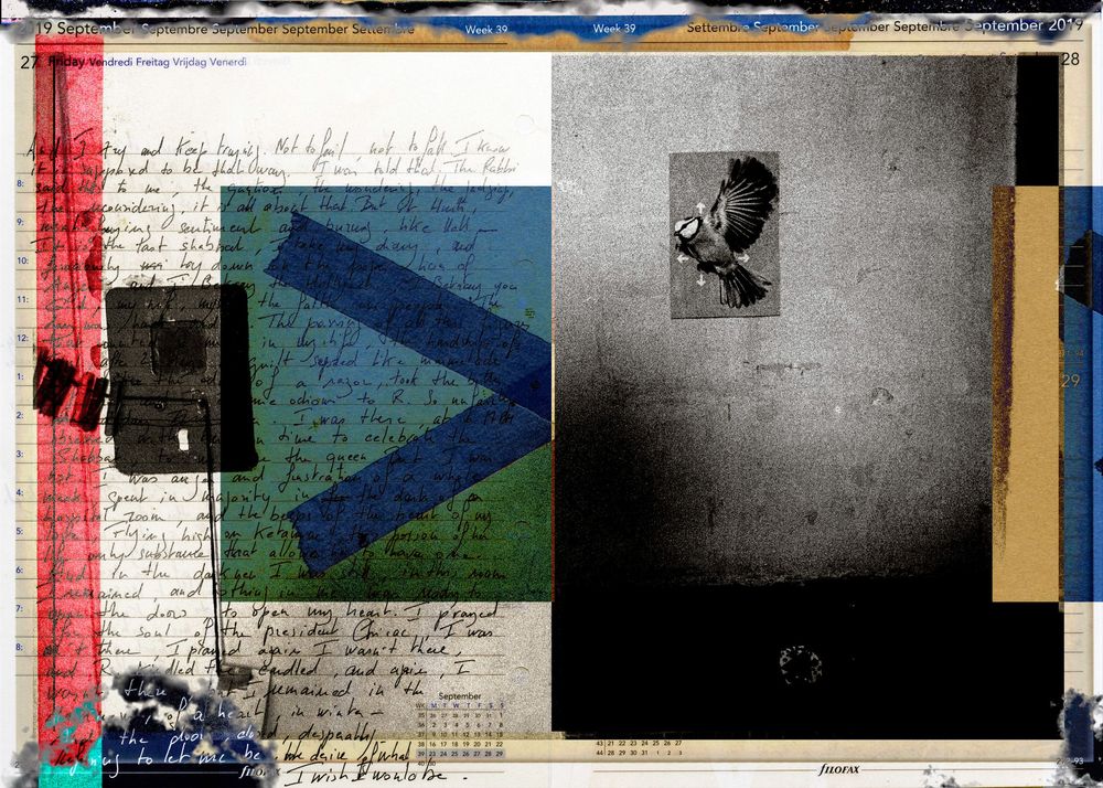 Mixed media collage artwork featuring handwritten text, geometric shapes, and a vintage owl photograph on layered paper.