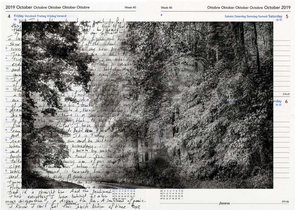 A 2019 October calendar featuring a moody black-and-white forest path photo with handwritten journal notes overlay.