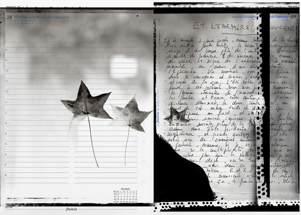 Black and white diptych of pressed star-shaped leaves on calendar page beside handwritten journal notes.