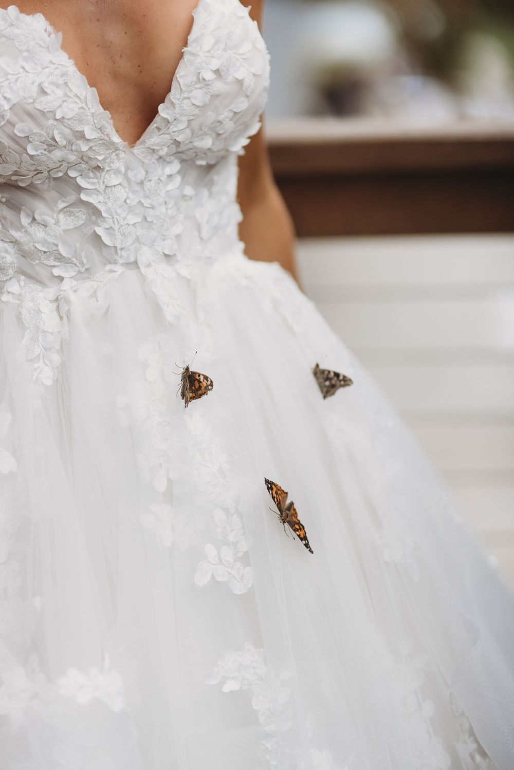 Close-up of white floral lace wedding dress bodice with three colorful butterflies resting on the fabric.