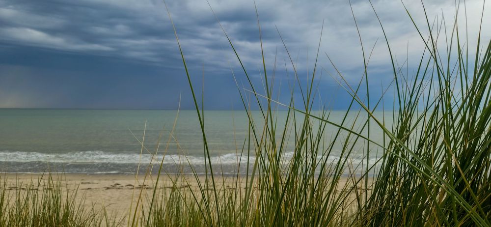 Séance photo grossesse et famille, en extérieure. Plage -   Berck-sur-Mer, Hauts-de-France, en Côte d' Opale