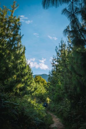 Travel, Nature, Landscape