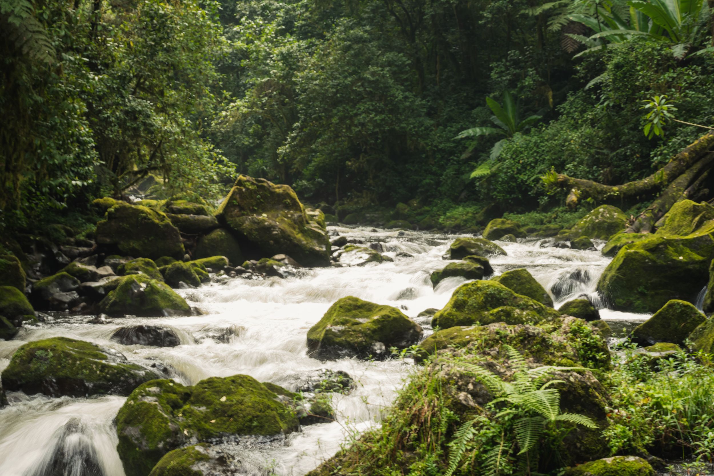 Travel, Nature, Landscape