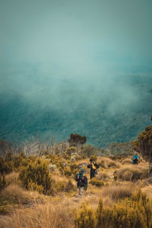 Landscape, Nature