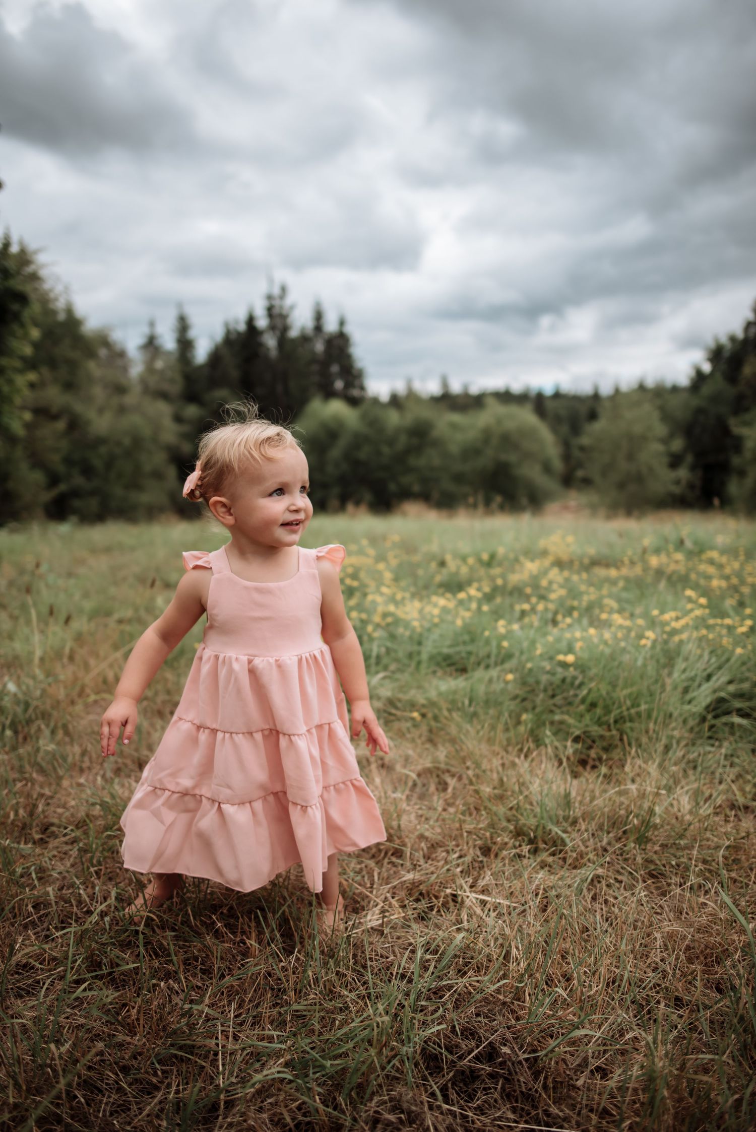 A toddler in a pink ruffled dress exploring a wildflower meadow under stormy skies.