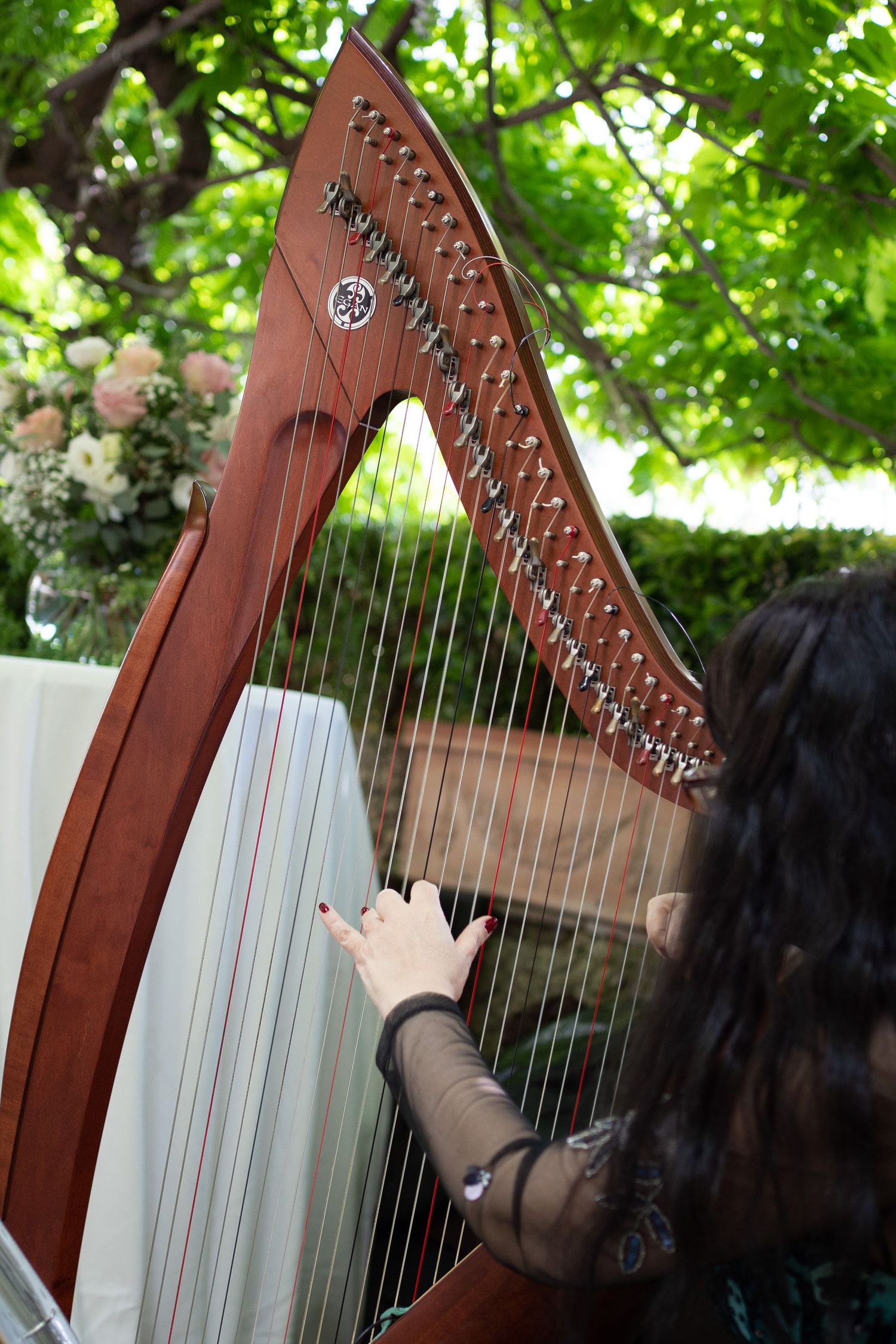 Close-up sequence of hands playing a wooden Celtic harp with white strings against a green leafy background.