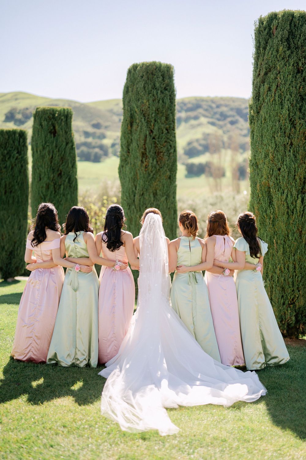 Bridesmaids in pastel dresses stand with bride showing back view against cypress garden.