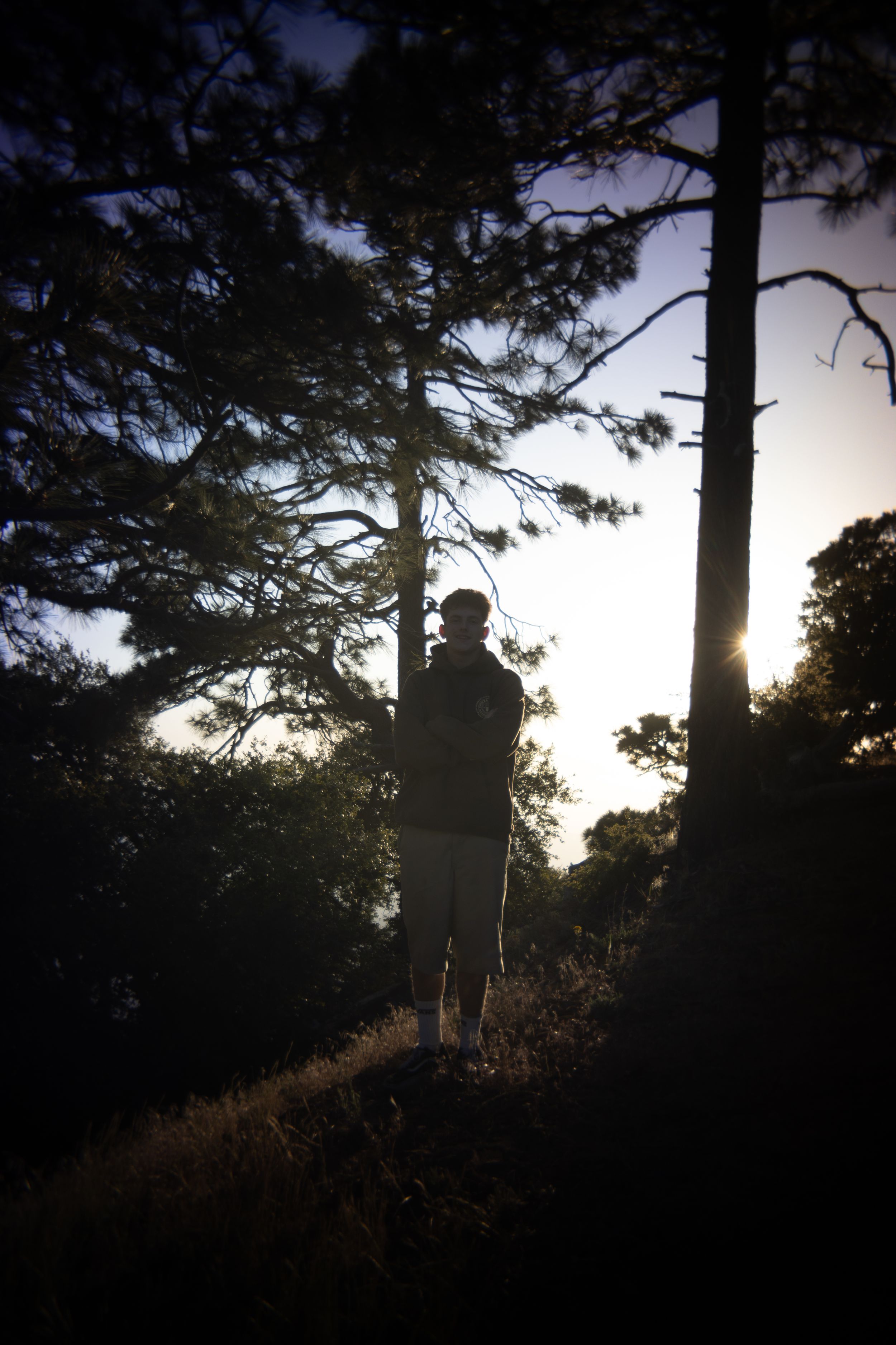 Silhouette of a hiker standing among tall pine trees with sunlight breaking through at dusk in a forest.