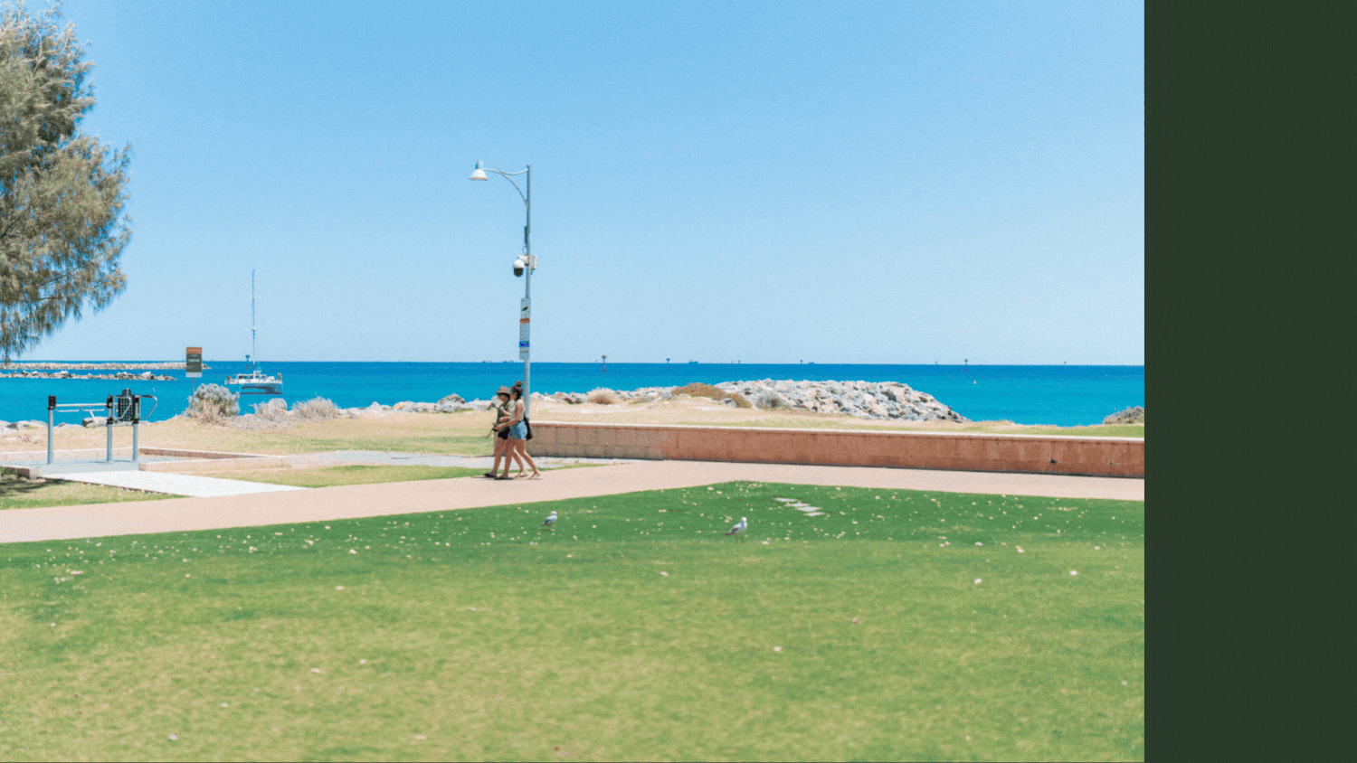 Scenic coastal landscape with green grass, beach path and blue ocean view.