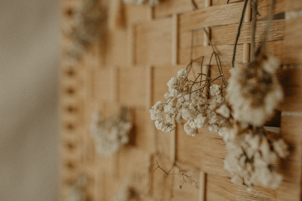 Dried baby's breath flowers hanging against textured wooden wall in soft warm lighting creating rustic decor. Maternity studio in Beckenham