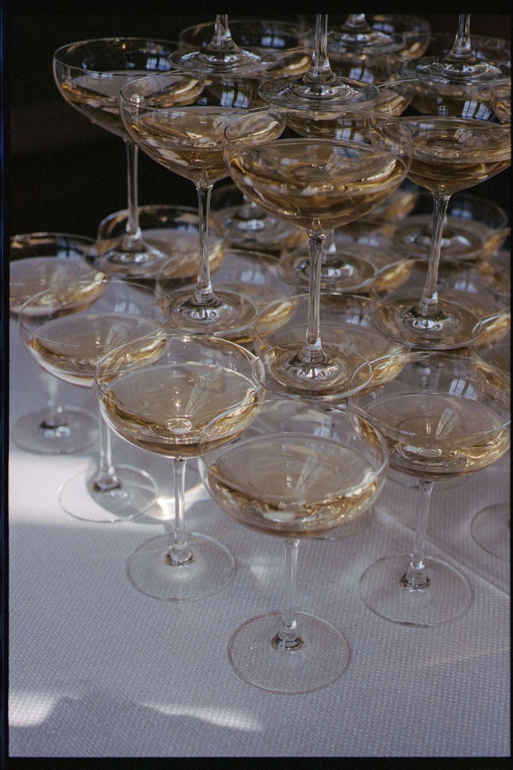 Multiple champagne coupe glasses arranged in rows on a white tablecloth with sparkling wine inside.